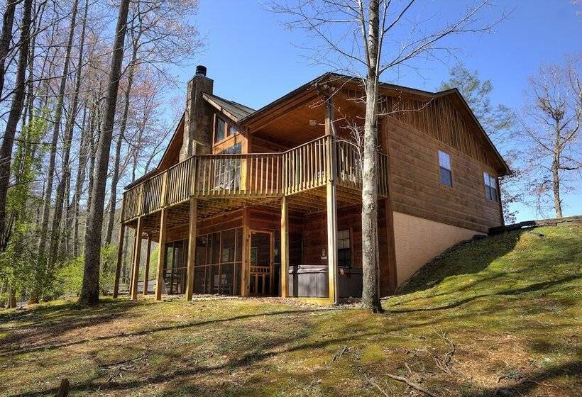 Always Delightful #411