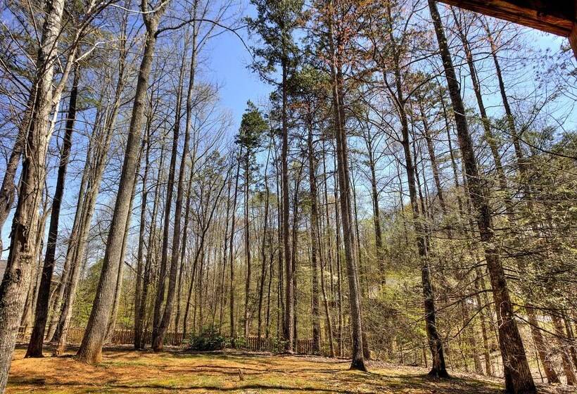 Always Delightful #411