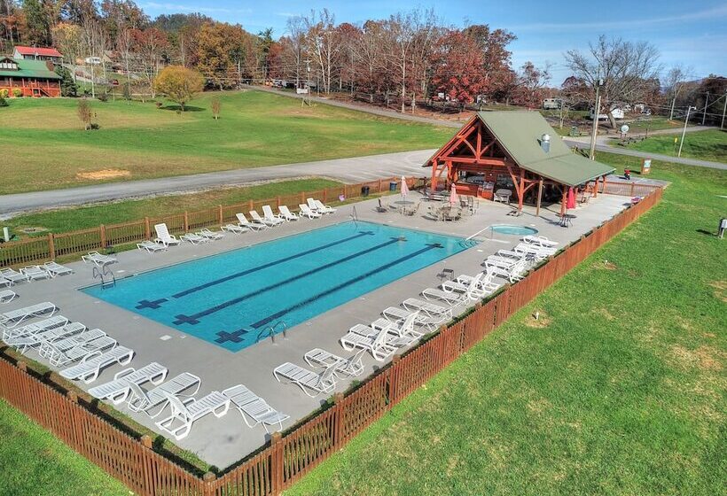 Always Delightful #411