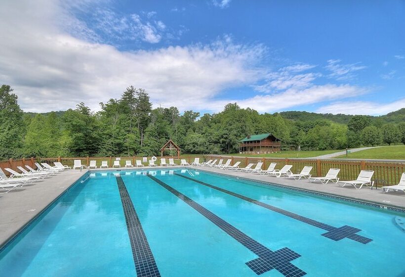 Always Delightful #411