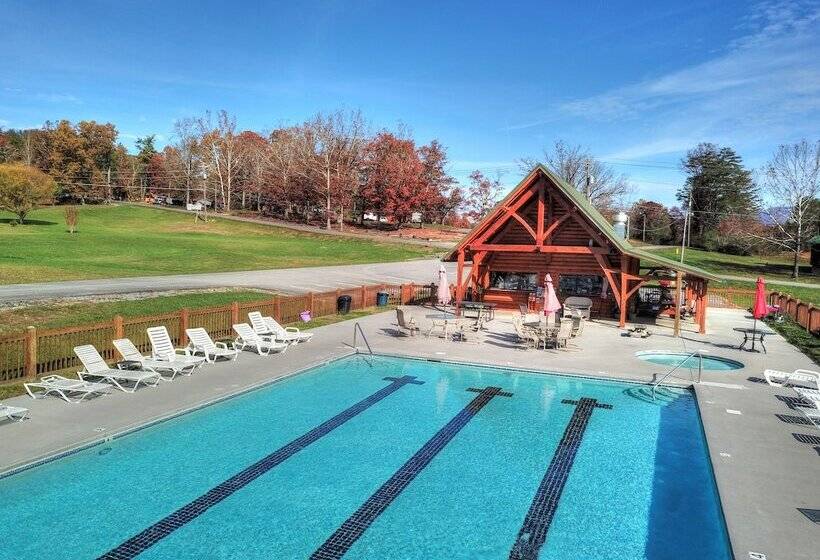 Always Delightful #411