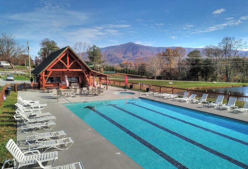 Always Delightful #411