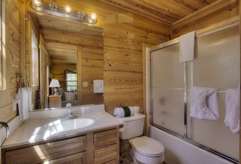 Always Delightful #411