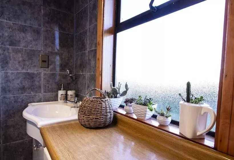 ベッドアンドブレックファースト Hostal El Vergel Azul