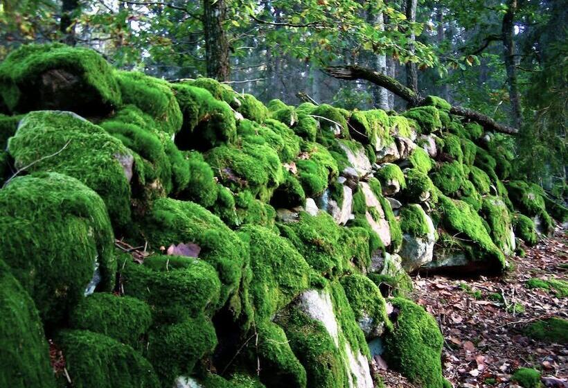 Nocleg ze śniadaniem Kvarnen I Knällsberg