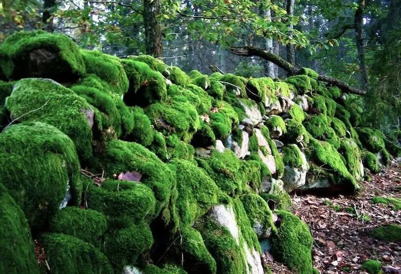 Aamiaismajoitus (B&B) Kvarnen I Knällsberg