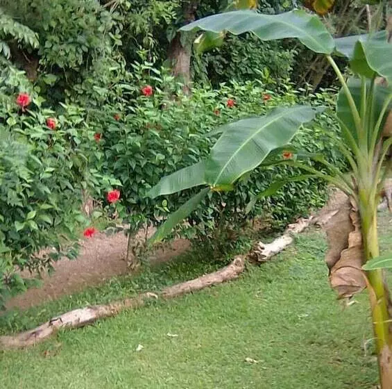 Aamiaismajoitus (B&B) Soul Fire Casitas