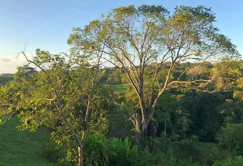 Aamiaismajoitus (B&B) Soul Fire Casitas