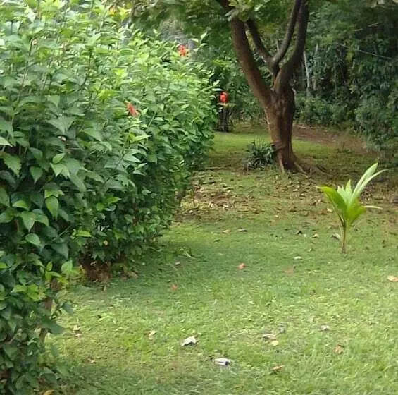 Aamiaismajoitus (B&B) Soul Fire Casitas