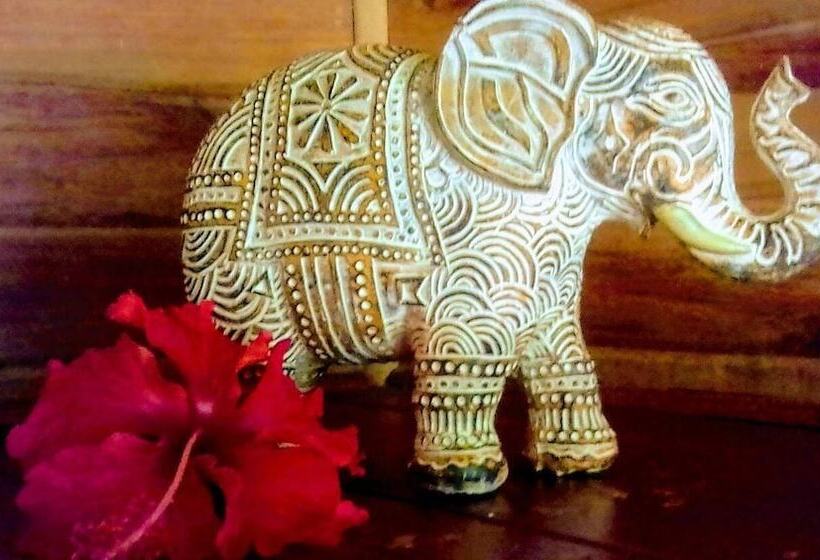 تختخواب و صبحانه Soul Fire Casitas