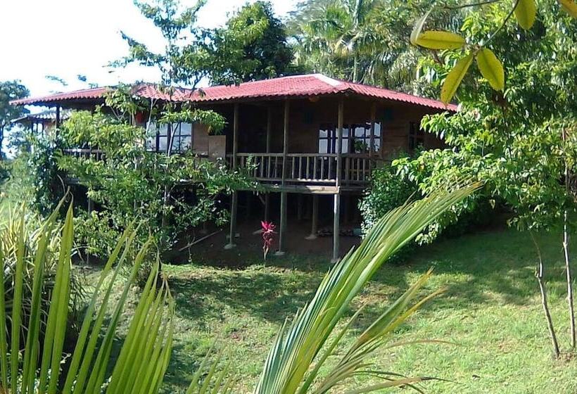 تختخواب و صبحانه Soul Fire Casitas