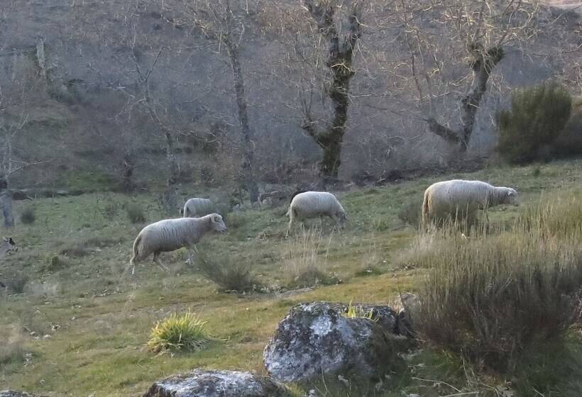 Comfortable Rural Cottage In Ancient Village In The Douro Region