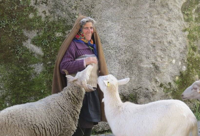 Comfortable Rural Cottage In Ancient Village In The Douro Region