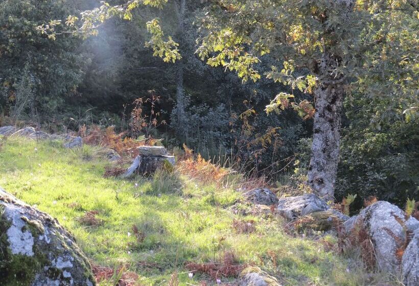 Comfortable Rural Cottage In Ancient Village In The Douro Region