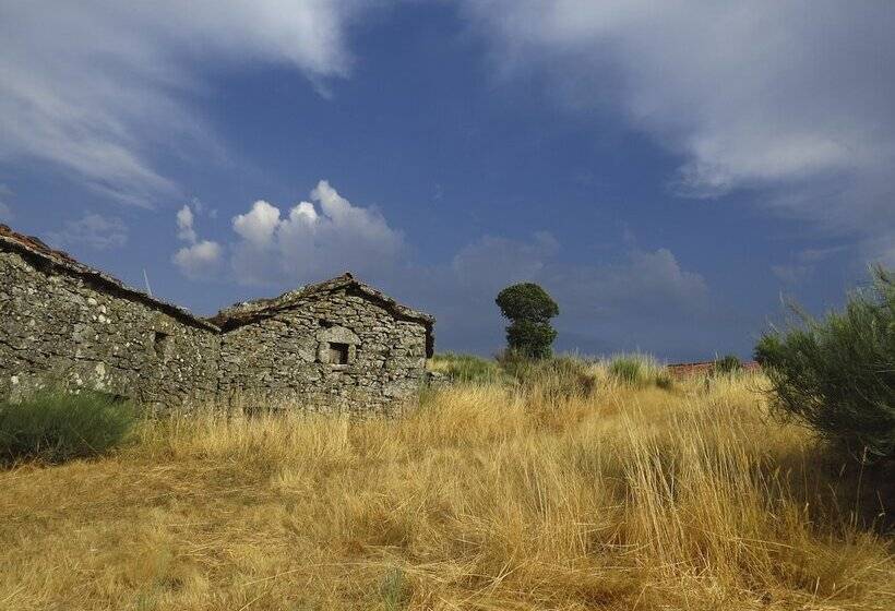 Comfortable Rural Cottage In Ancient Village In The Douro Region