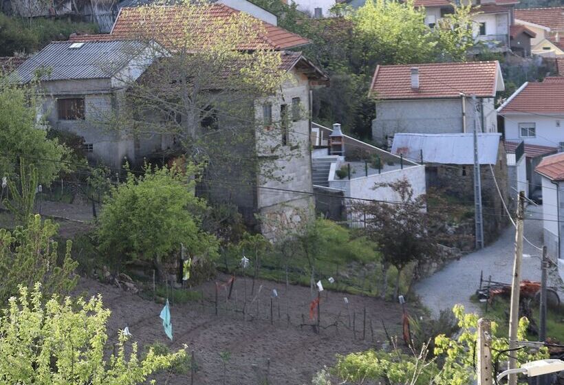 Comfortable Rural Cottage In Ancient Village In The Douro Region