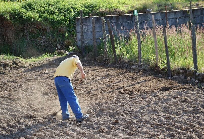 Comfortable Rural Cottage In Ancient Village In The Douro Region