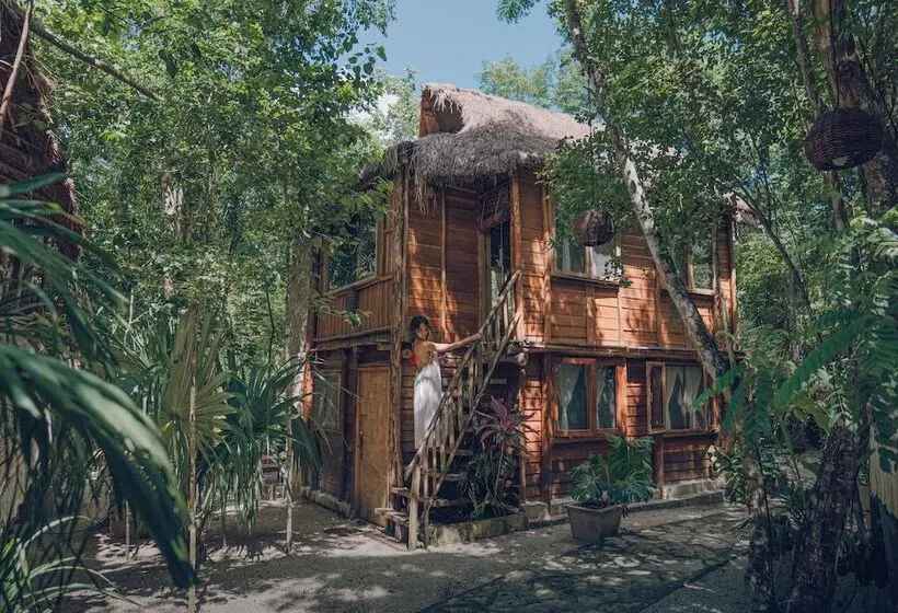 Hotelli Anand Ecoaldea