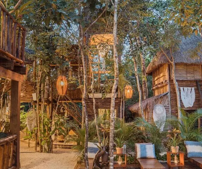 Hotelli Anand Ecoaldea