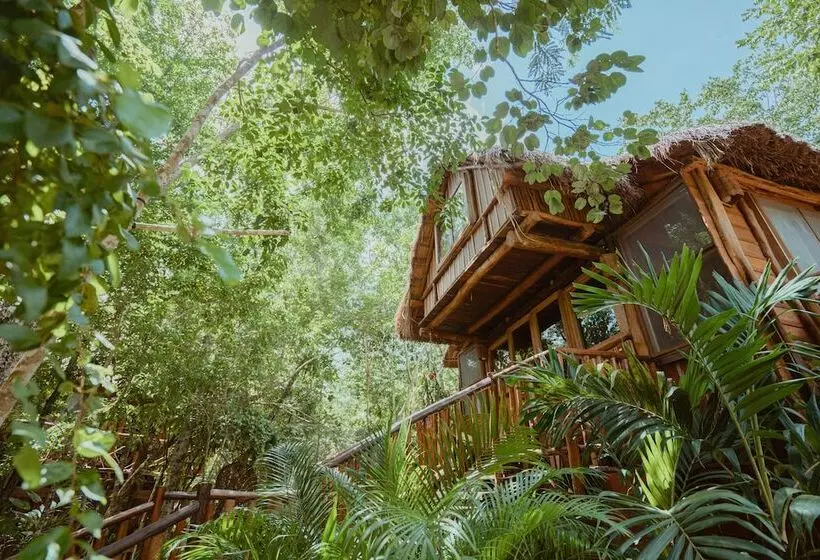 Hotelli Anand Ecoaldea