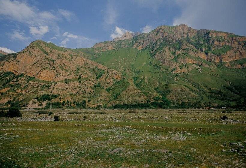 Отель Magistral