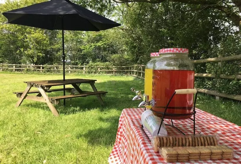 ホテル Roe Deer Fields