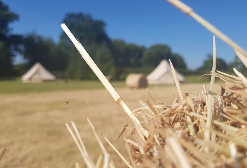 Hotel Roe Deer Fields