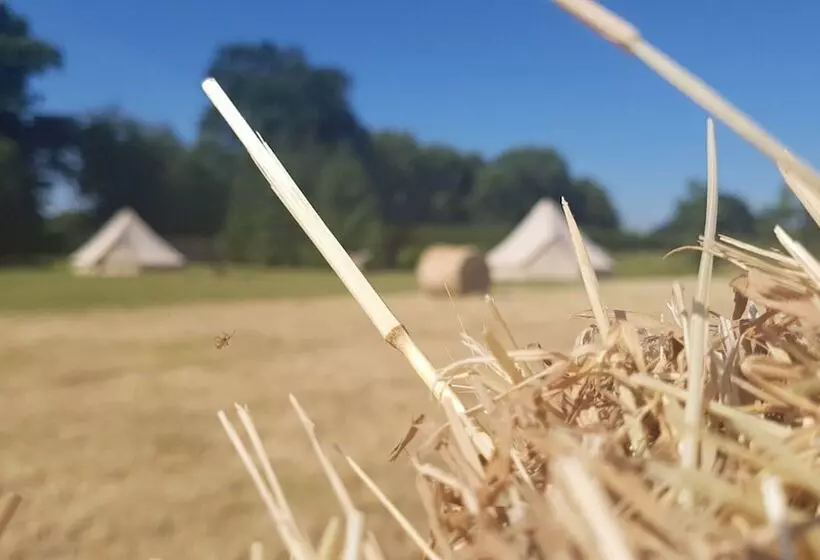 ホテル Roe Deer Fields