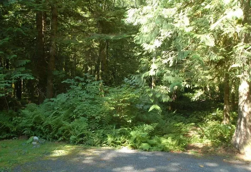 Mt Baker Lodging   Cabin 67   Private 2 Story Cabin With A Private Hot Tub