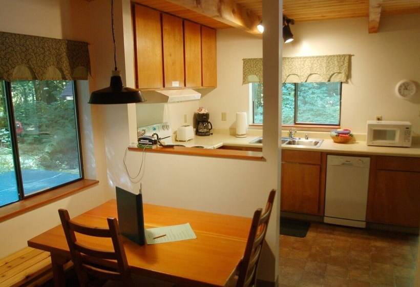 Mt Baker Lodging   Cabin 67   Private 2 Story Cabin With A Private Hot Tub