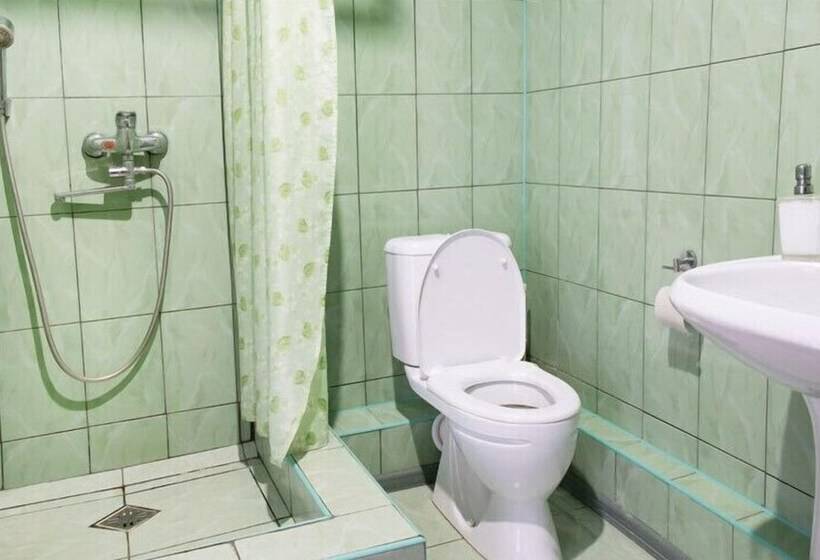 بنسيون Dorozhny Guest House