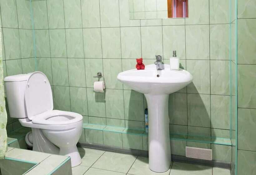 بنسيون Dorozhny Guest House