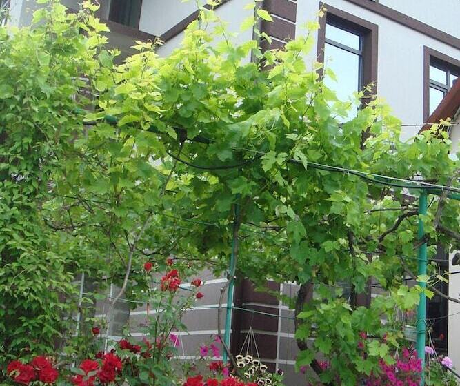 پانسیون Guest House Lydia