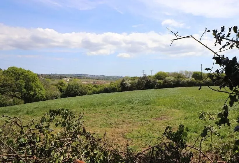 Be Our Guest Cottage