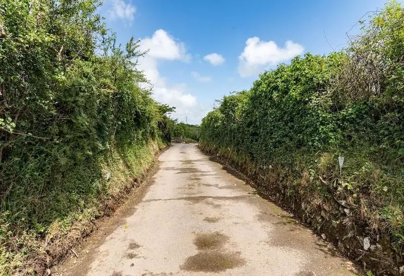 Be Our Guest Cottage