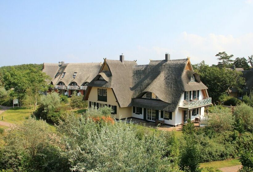 Dünenmeer Ferienhäuser