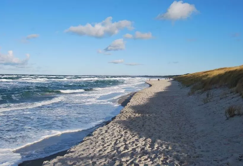 Dünenmeer Ferienhäuser