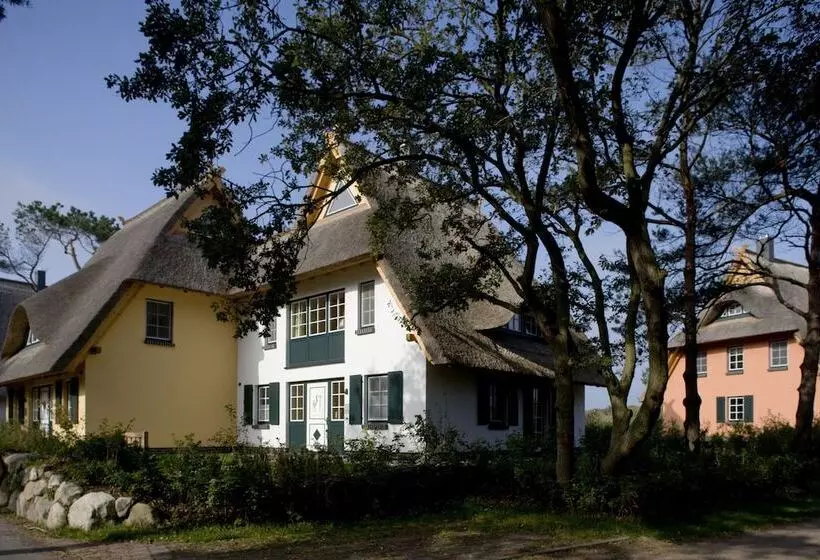 Dünenmeer Ferienhäuser