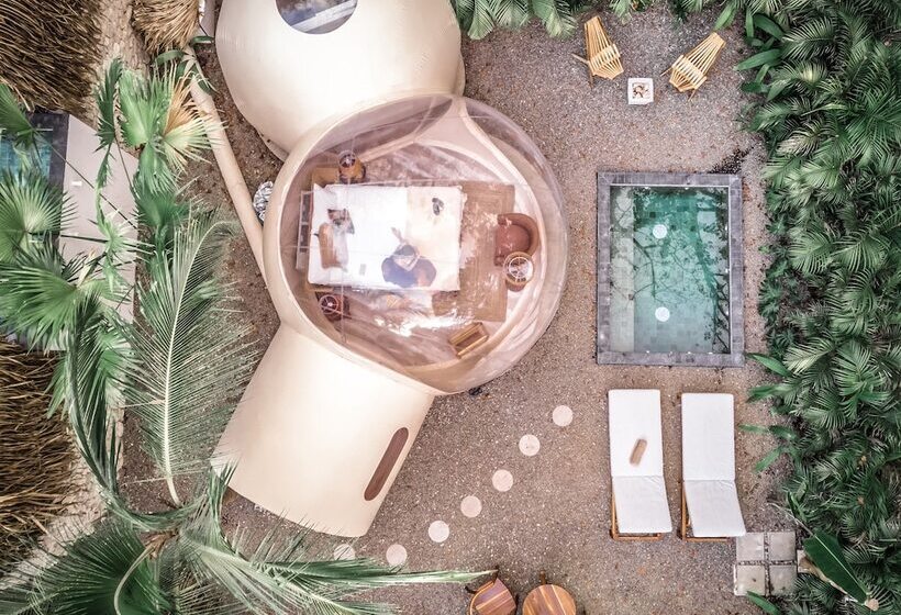 هتل Satori The Bubble Experience Lodge