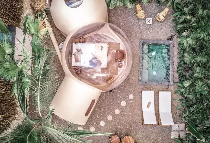 Hotelli Satori The Bubble Experience Lodge