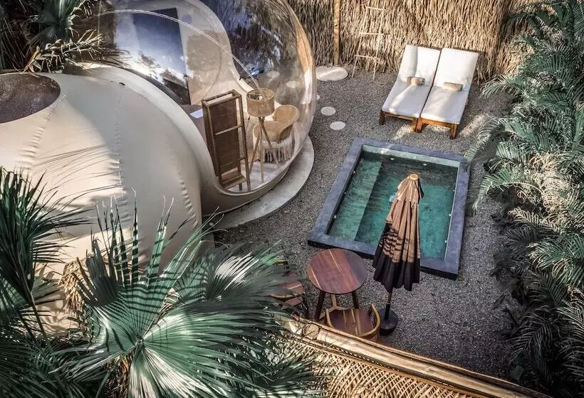 Hotelli Satori The Bubble Experience Lodge