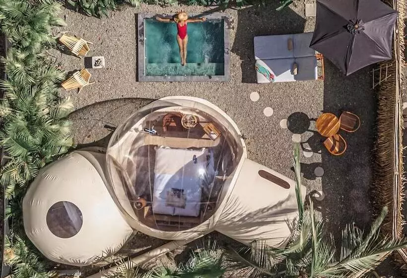 Hotelli Satori The Bubble Experience Lodge