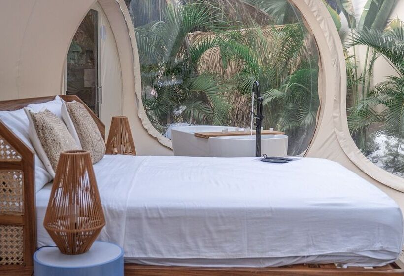 هتل Satori The Bubble Experience Lodge