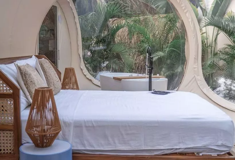 Hotelli Satori The Bubble Experience Lodge