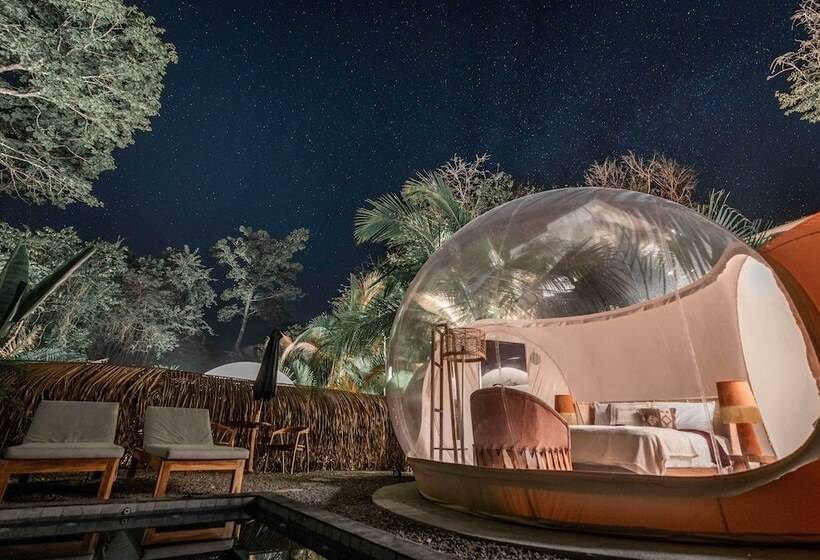 هتل Satori The Bubble Experience Lodge