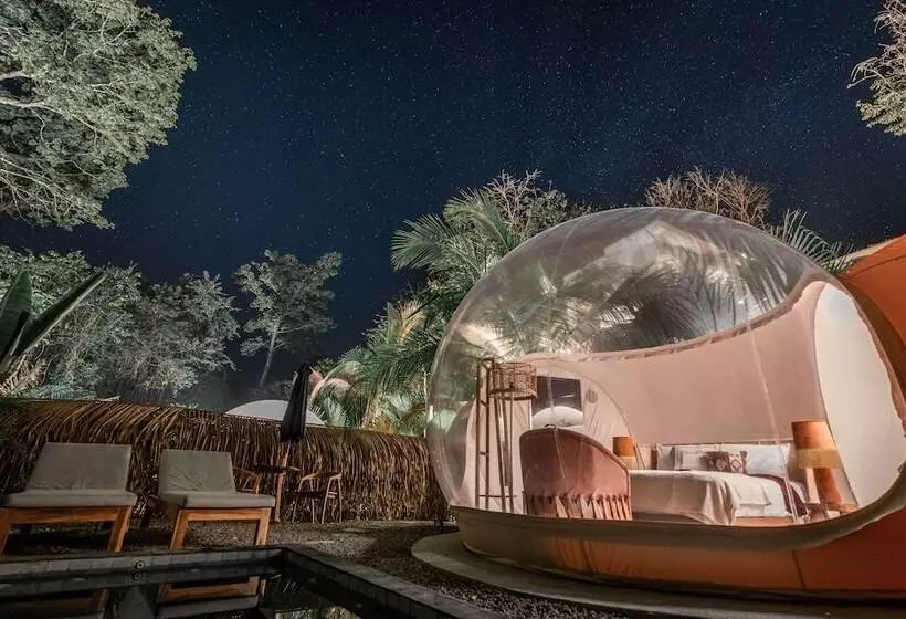 Hotelli Satori The Bubble Experience Lodge