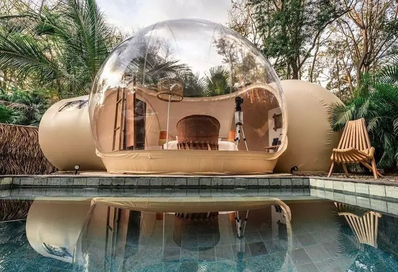 Hotelli Satori The Bubble Experience Lodge