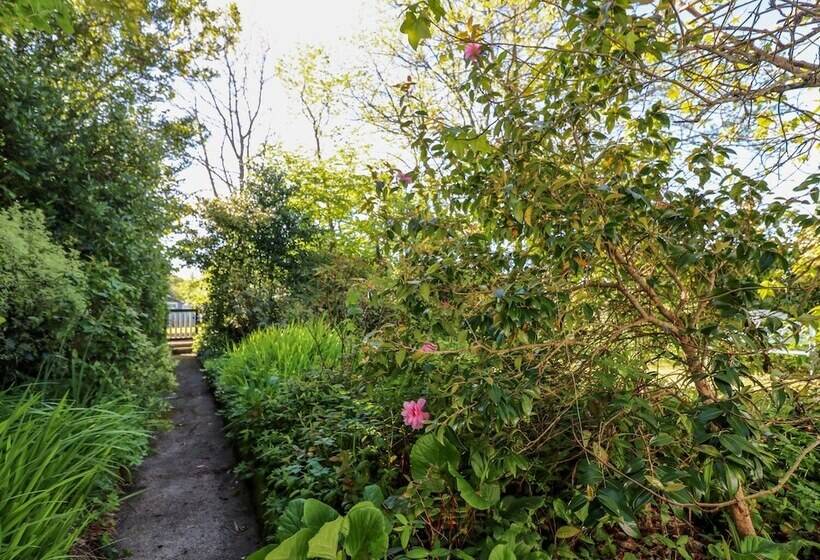 The Thatched Cottage