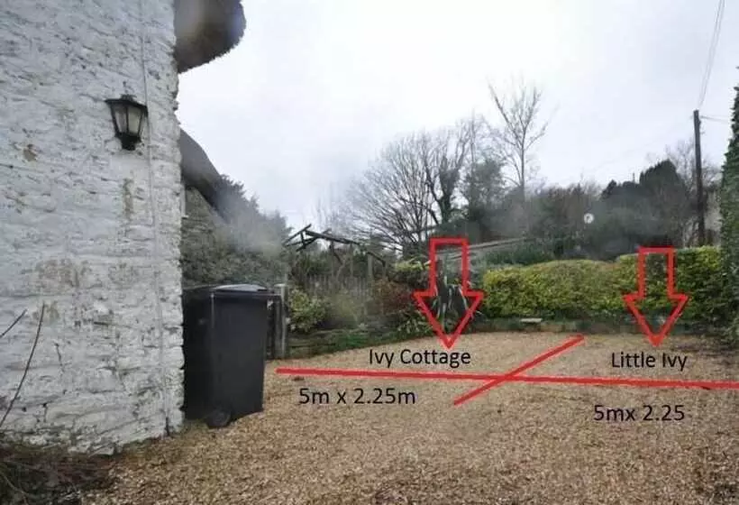 Ivy Cottage