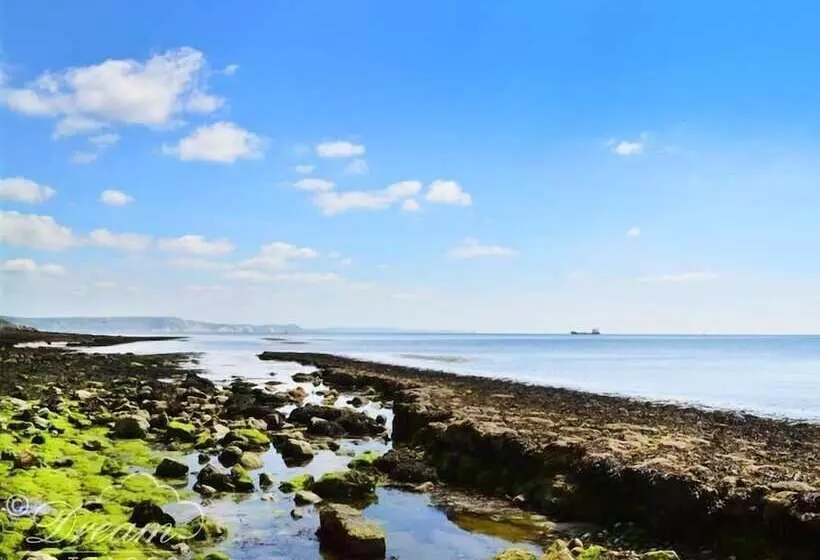 Tides Corner